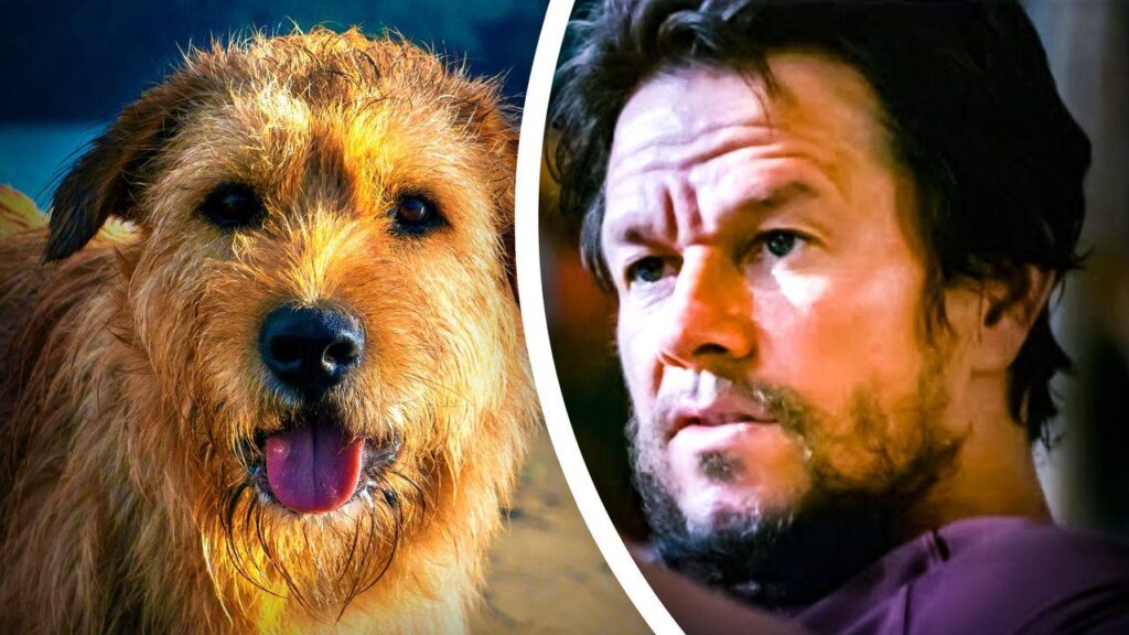 Arthur the King True Story Explained (Real Events) 2026